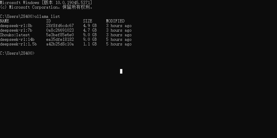 image-20250201194737653