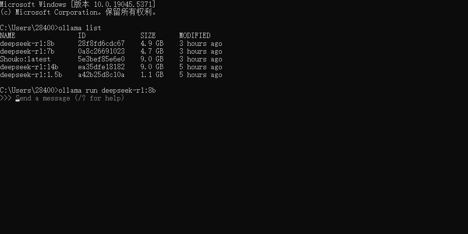 image-20250201194848805